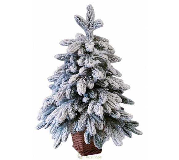 Ялина лита засніжена 0,7 м у горщику з лози